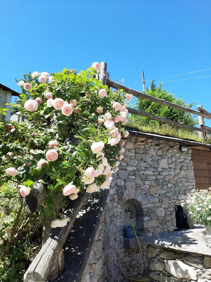 Guest house La Lea Roccaforte Mondovi